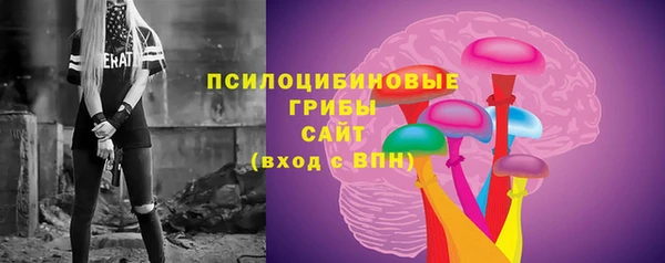 стаф Рославль