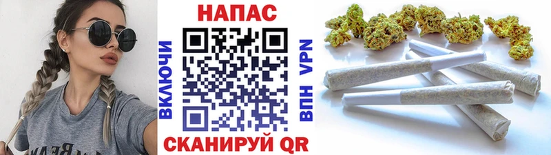 цена наркотик  Пласт  Конопля сатива 